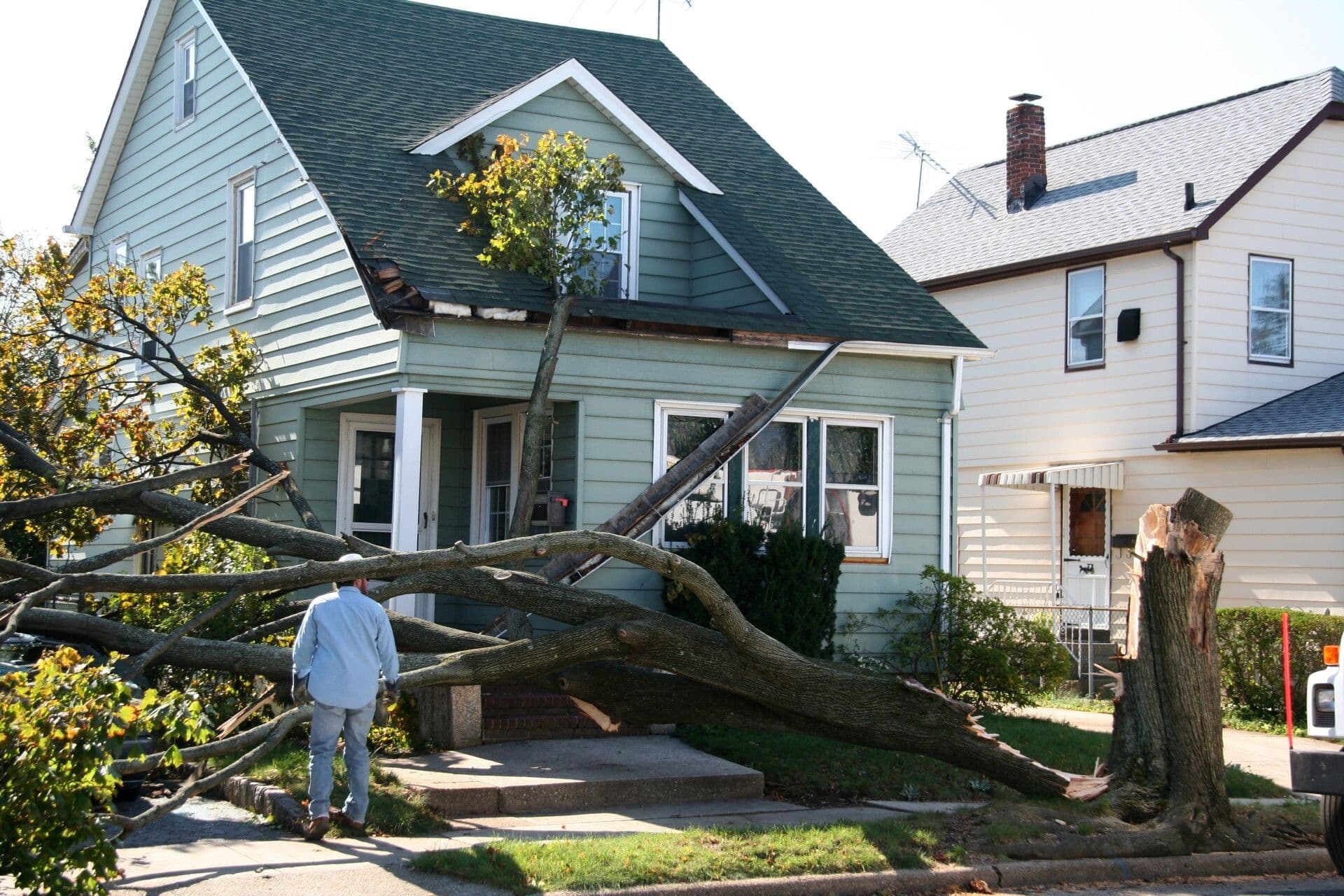 house with fallen tree from storm