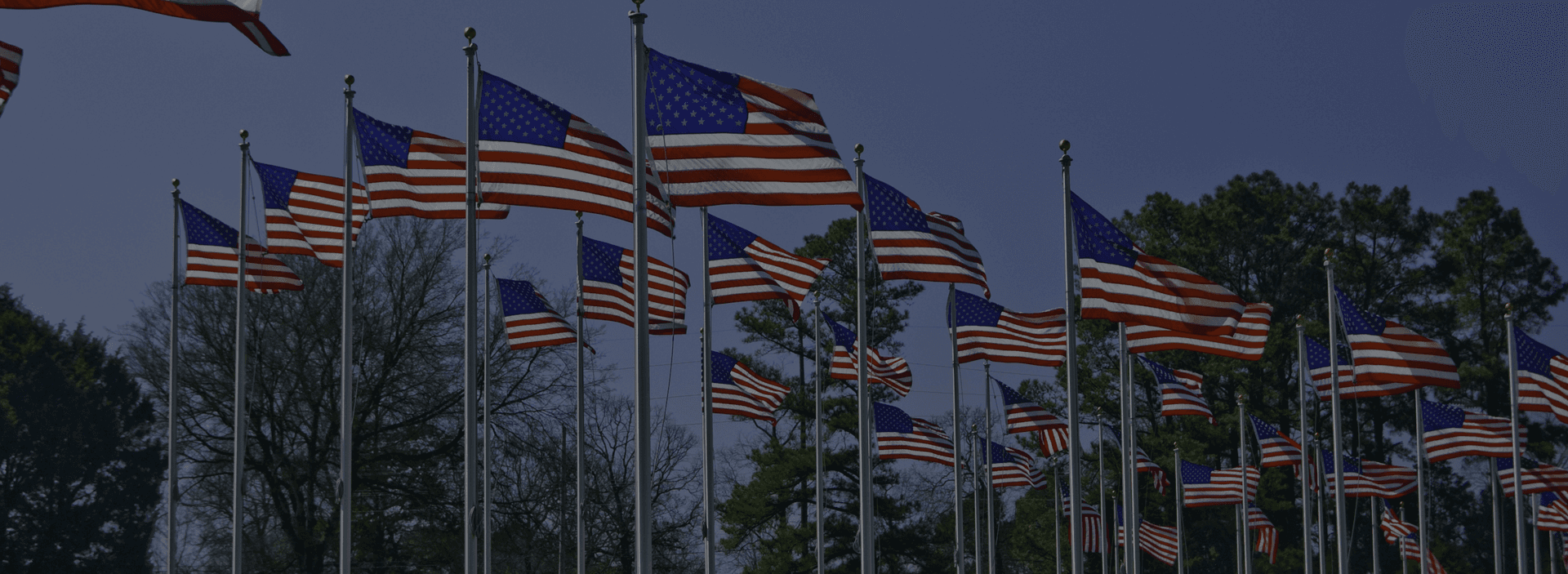 bigstock-Lots-Of-Flags-4728476 1.png