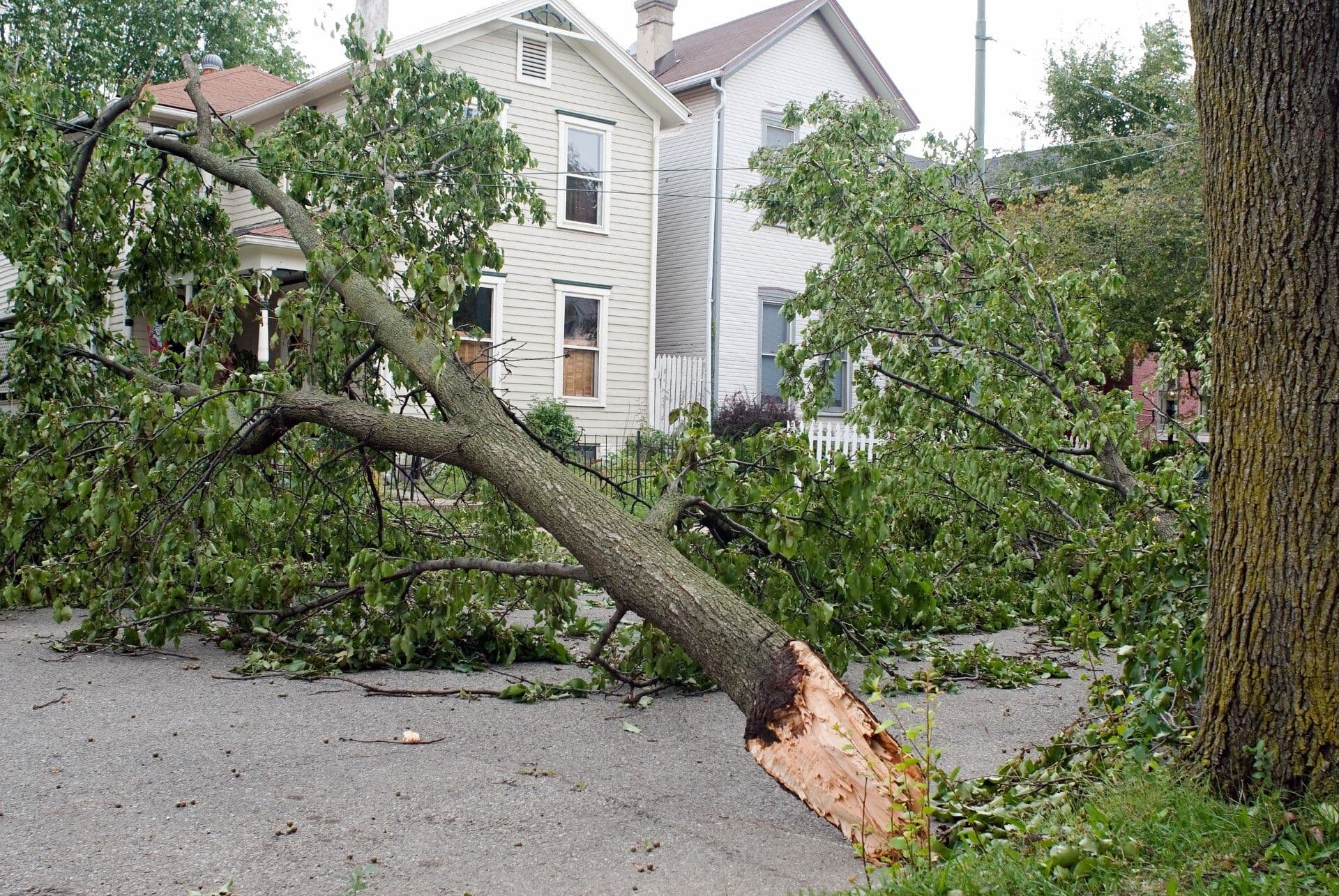 Storm damaged house